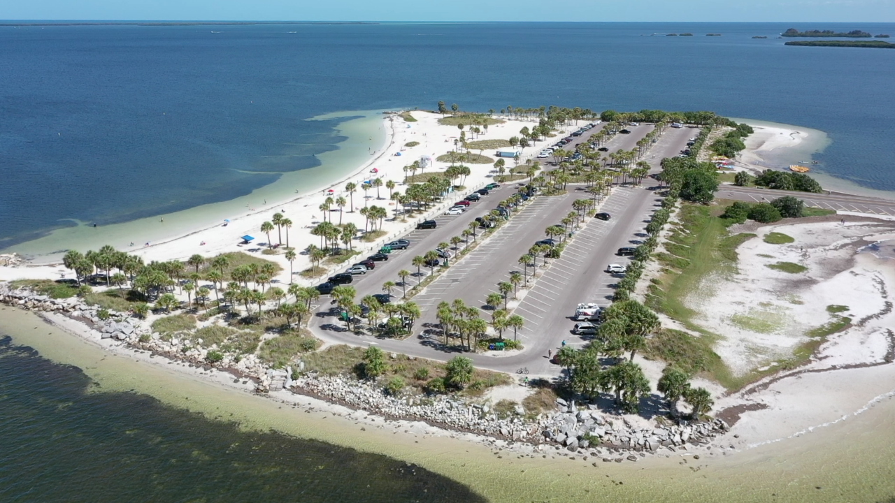 Walking Club Exploring Fred Howard Park in Tarpon Springs